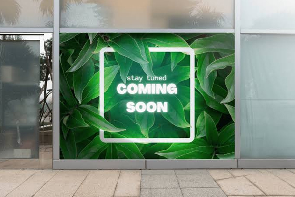 Window graphics